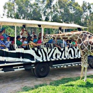 Zoológico de Guadalajara Viajar por Mexico