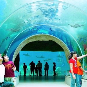 Zoológico de Guadalajara Viajar por Mexico