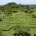 Zona Arqueologica Tamtoc viajar por mexico