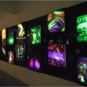 Museo de las Ciencias de la UNAM - UNIVERSUM